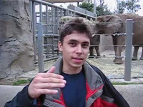 Still from YouTube’s first public upload, “Me at the zoo”